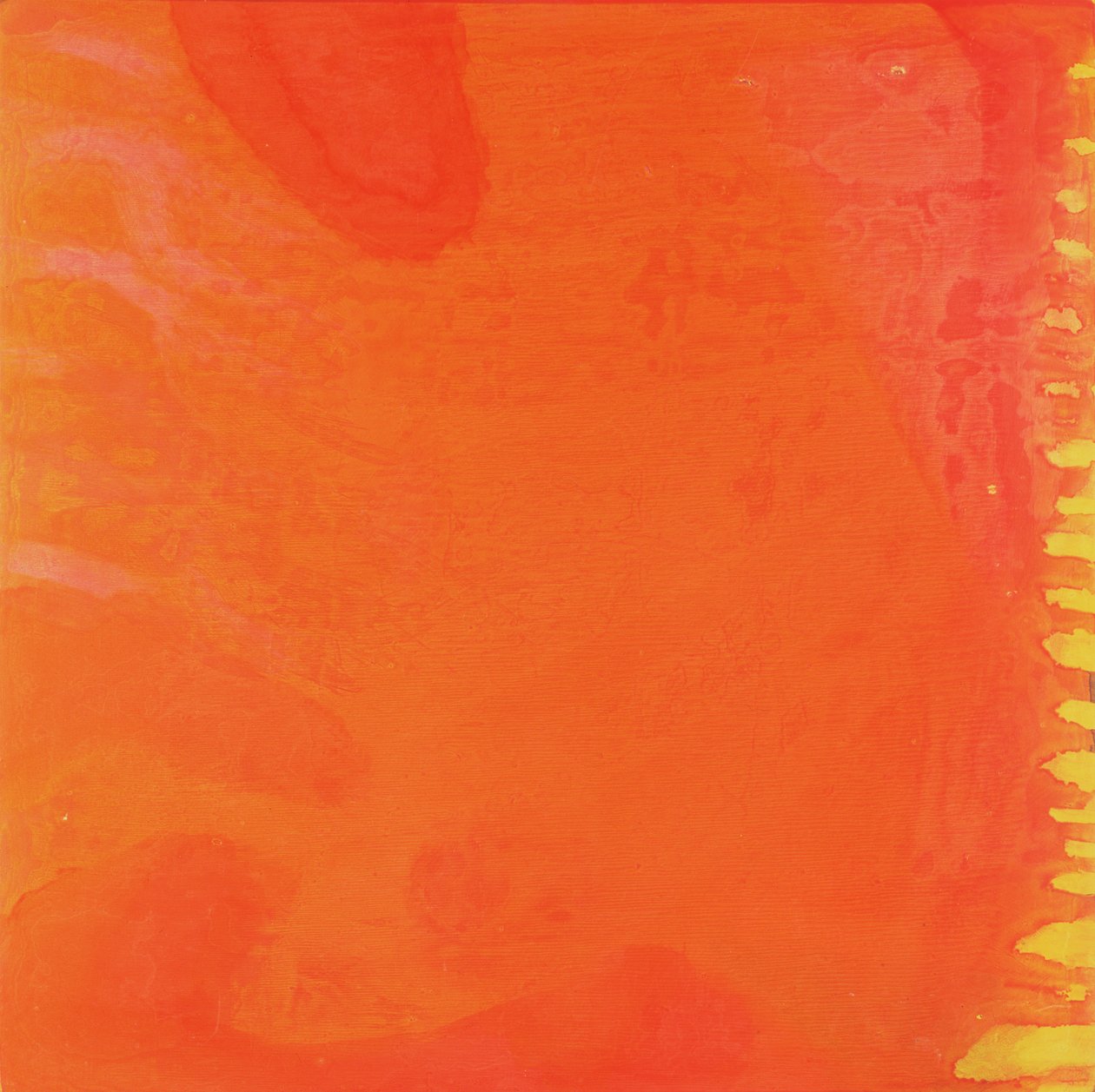 Rabbit Orange, 1997 (olaj és máz a gesso deszkán) alkotó: Charlotte Johnstone