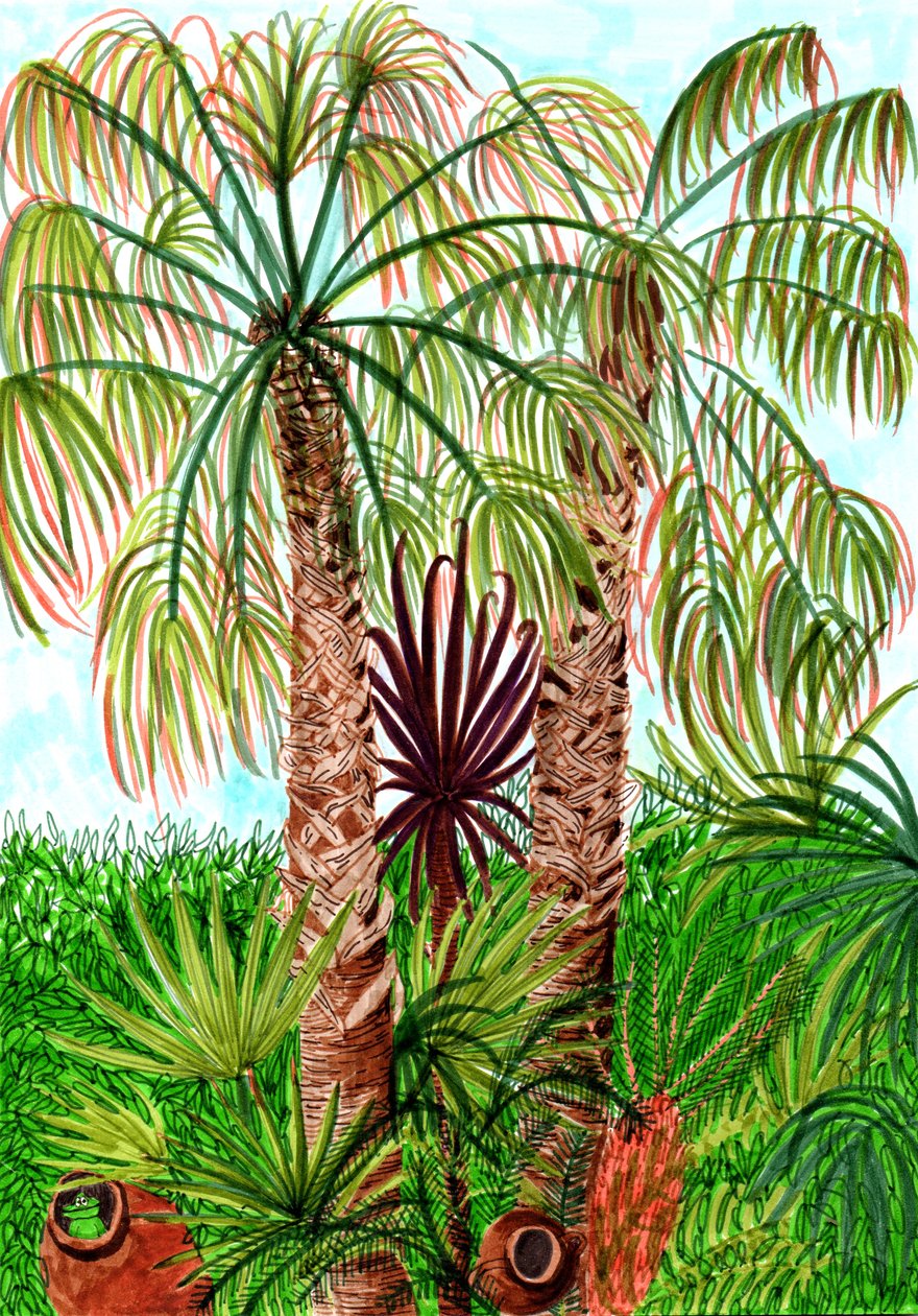 Barcelona Palms, 2017 (ecset tollak) alkotó: Charlotte Orr