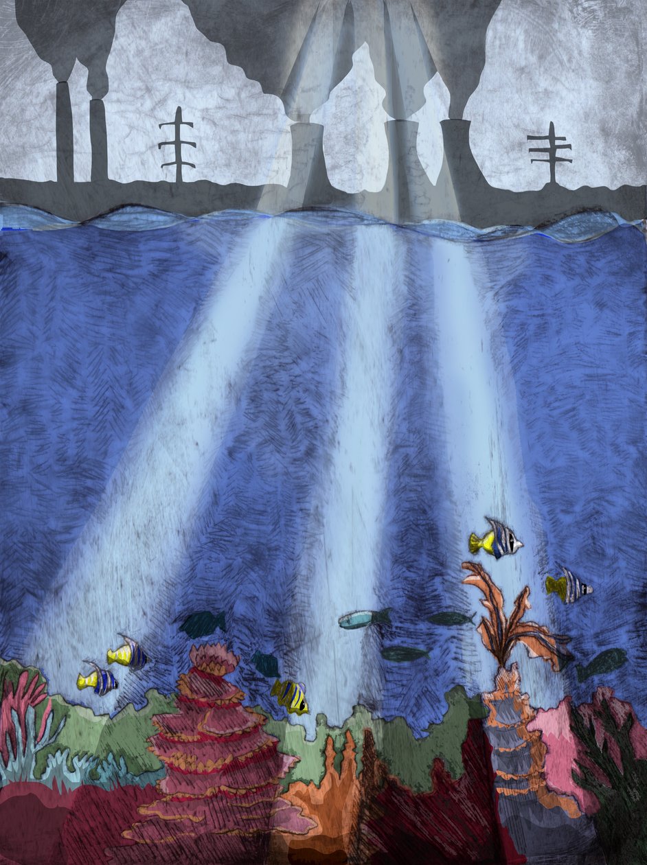 Korallzátony, 2013 (szárazpontos maratás és digitális) alkotó: Charlotte Orr