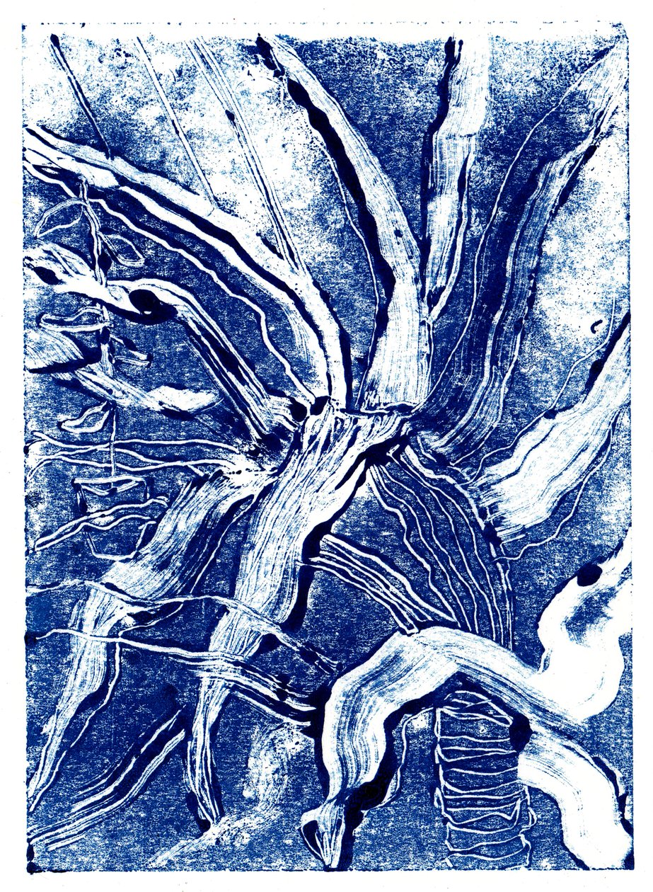 Inky Plants no.2, 2019 (monoprint) alkotó: Charlotte Orr