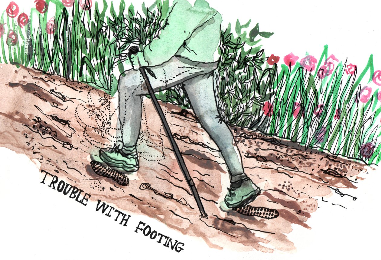 Parkinsons illusztrációk, 2019 (tinta és akvarell) alkotó: Charlotte Orr