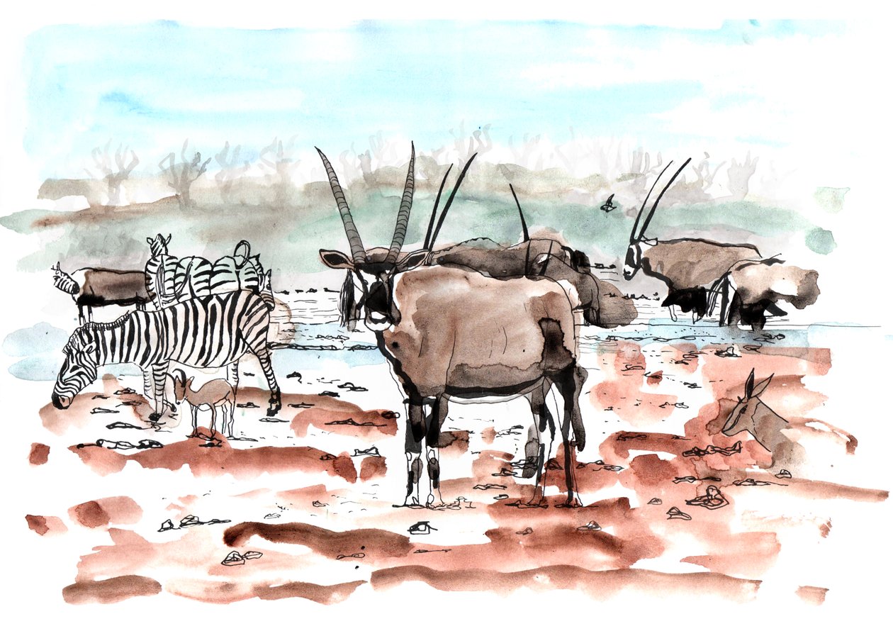 Safari, 2018 (tinta és akvarell) alkotó: Charlotte Orr