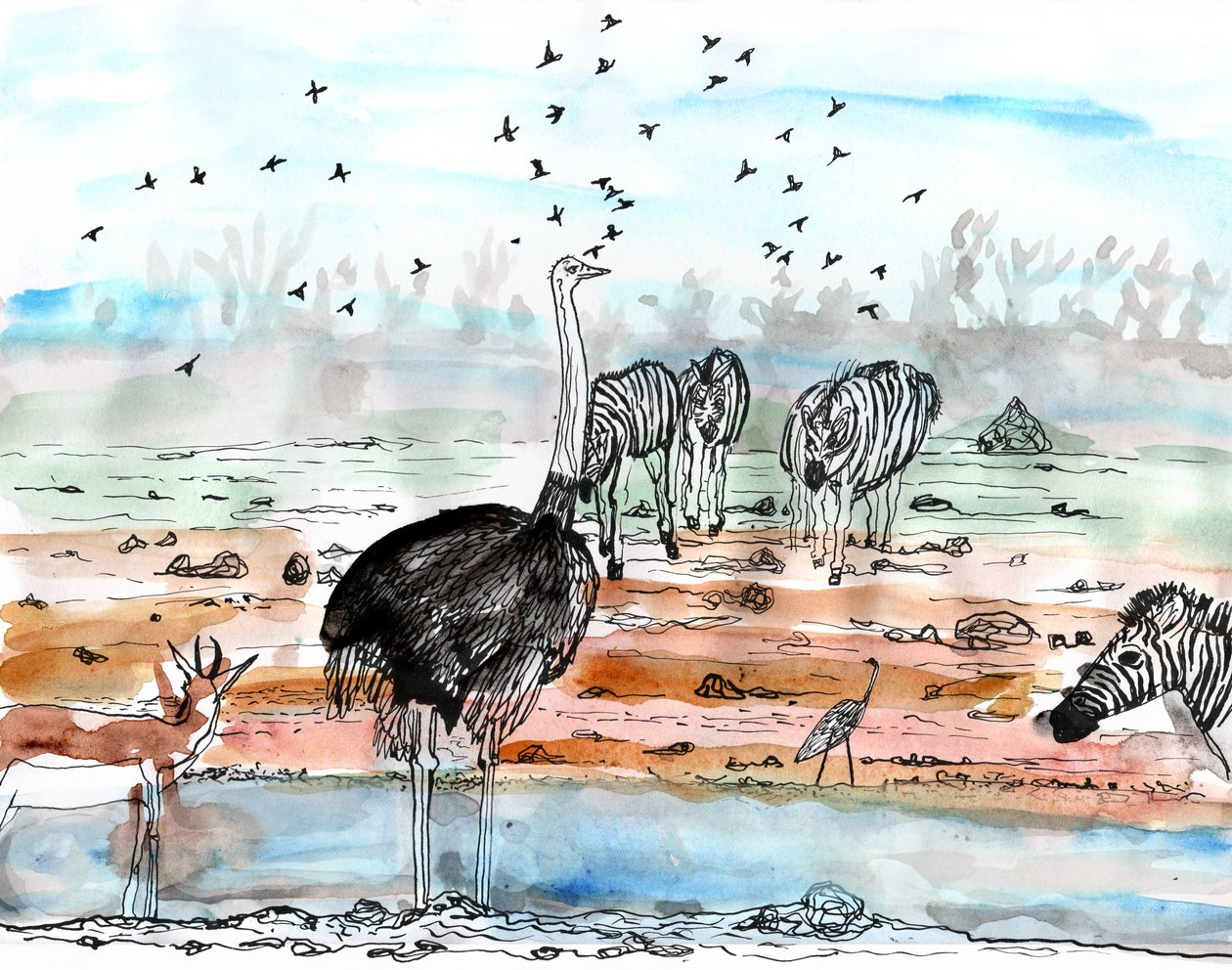 Safari 2, 2018 (tinta és akvarell) alkotó: Charlotte Orr
