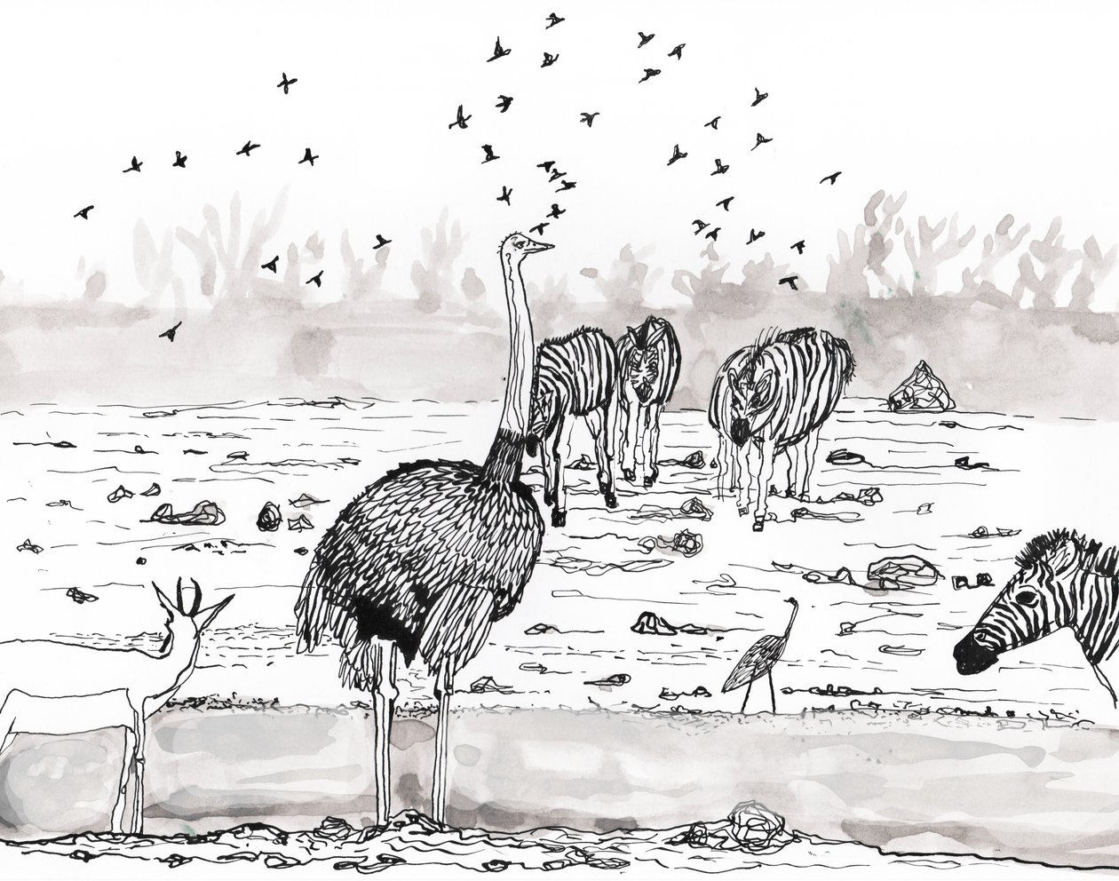 Safari 2, 2018 (tinta és akvarell) alkotó: Charlotte Orr