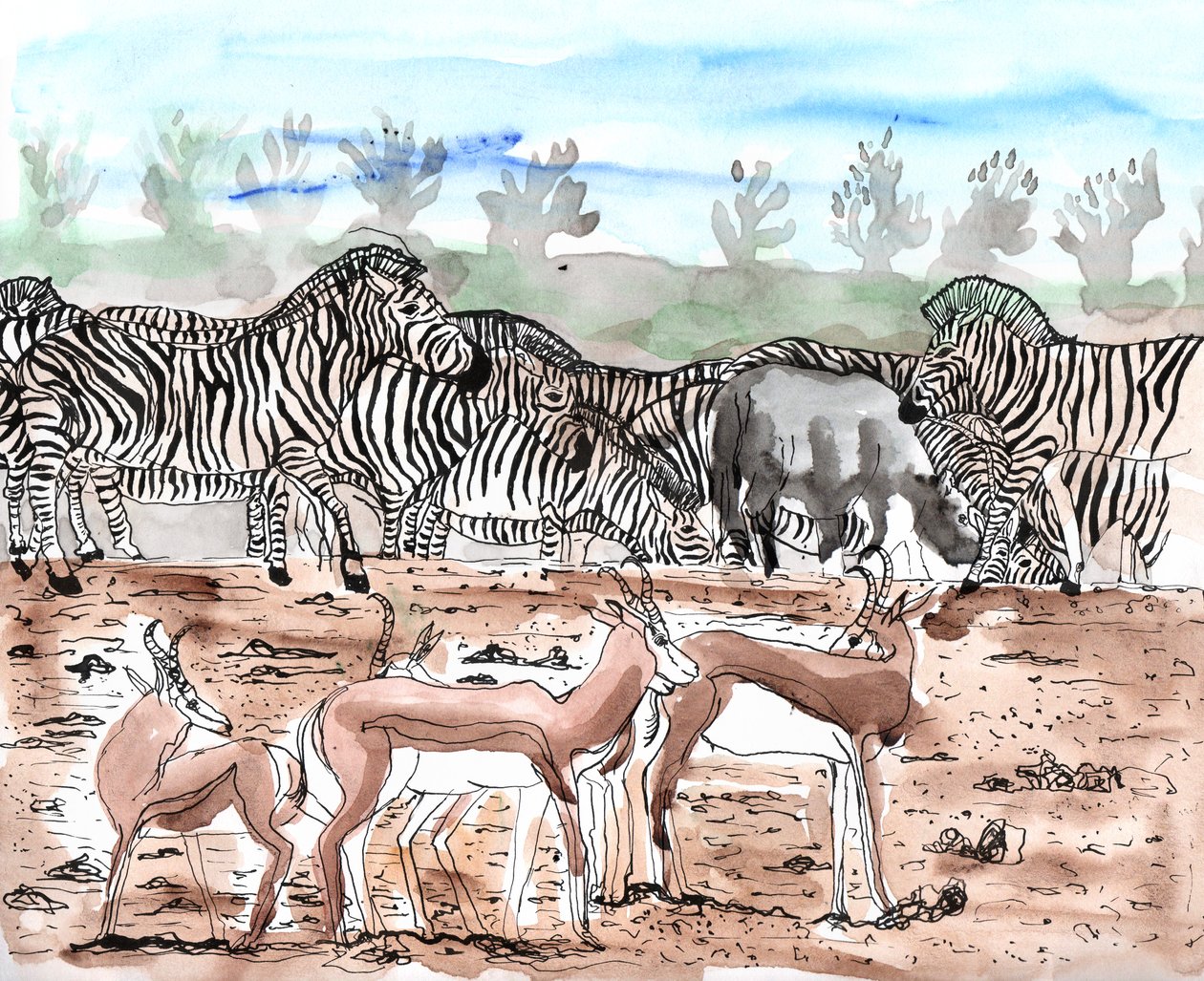 Safari 3, 2018 (tinta és akvarell) alkotó: Charlotte Orr