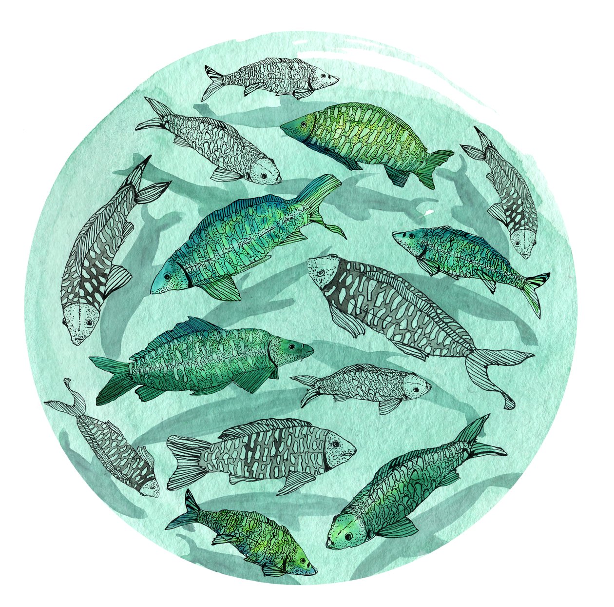 Small Fish Big Pond, 2018 (toll és tinta, akvarell és digitális) alkotó: Charlotte Orr