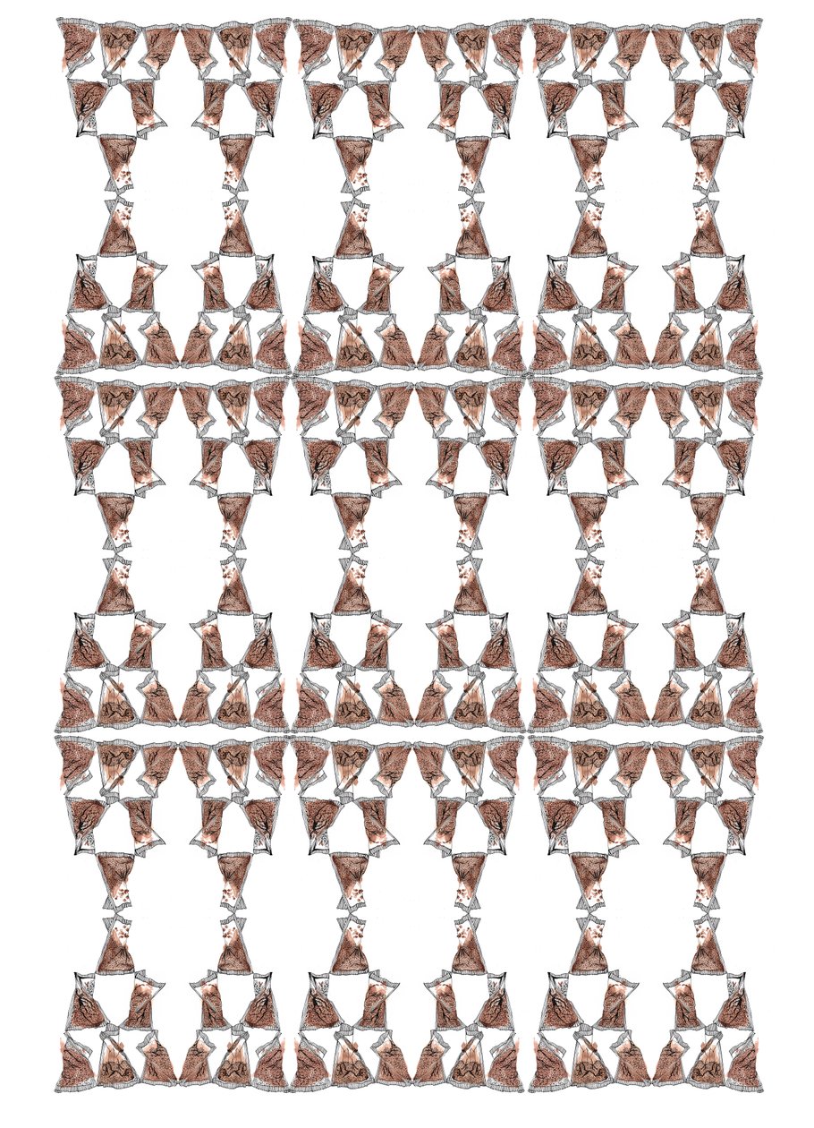 Tea Packaging Design, 2018 (tinta és akvarell) alkotó: Charlotte Orr