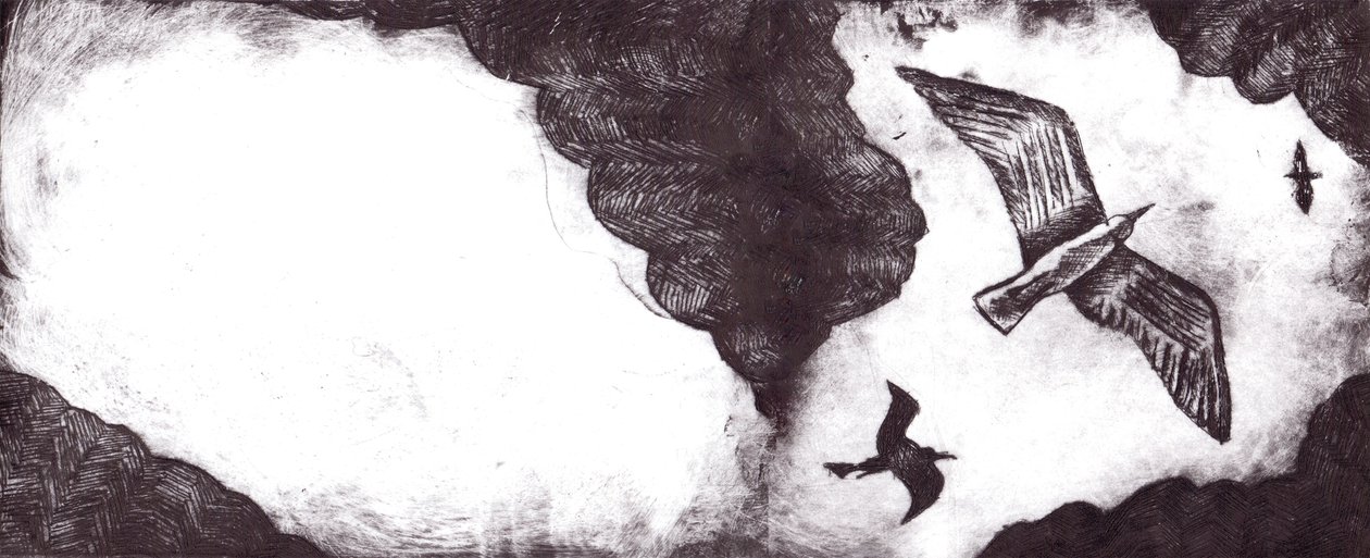 A sirály meséje, 2012 (szárazpontos maratással és digitálisan) alkotó: Charlotte Orr