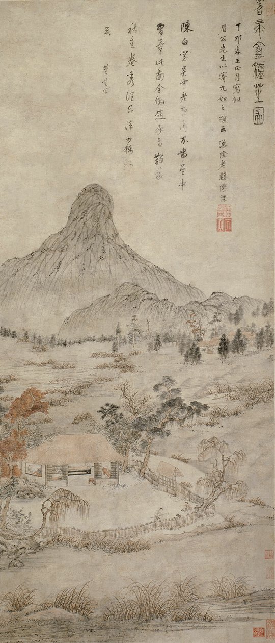 Illatos gomba ültetése a Tiaozhou