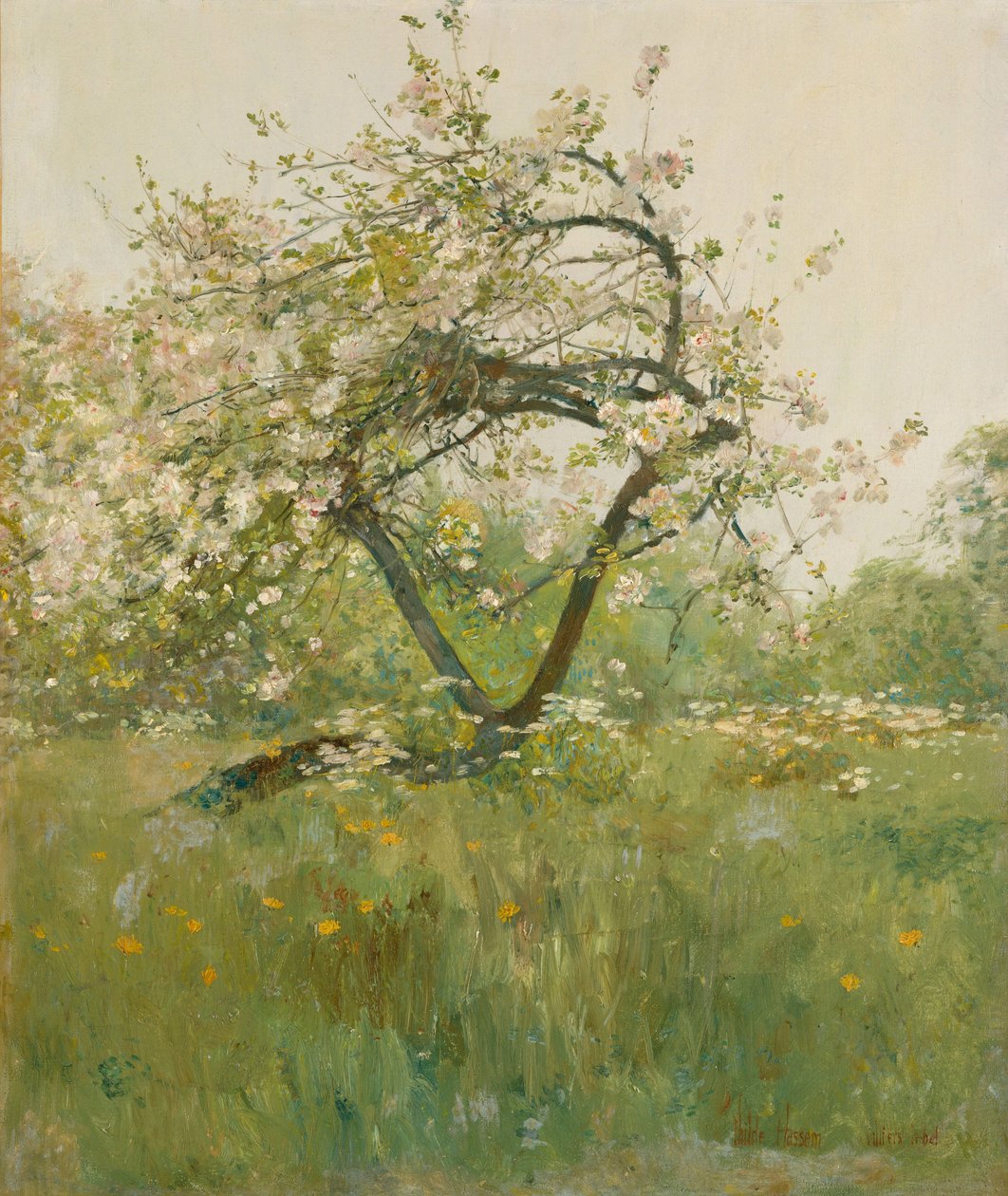 Barackvirágok, Villiers-le-Bel alkotó: Childe Frederick Hassam