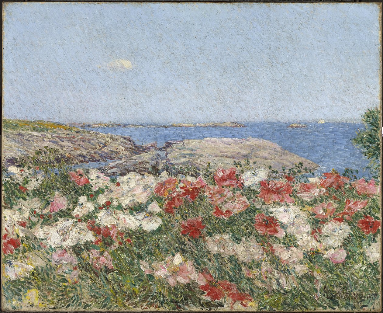 Pipacsok a Shoals-szigeteken alkotó: Childe Frederick Hassam