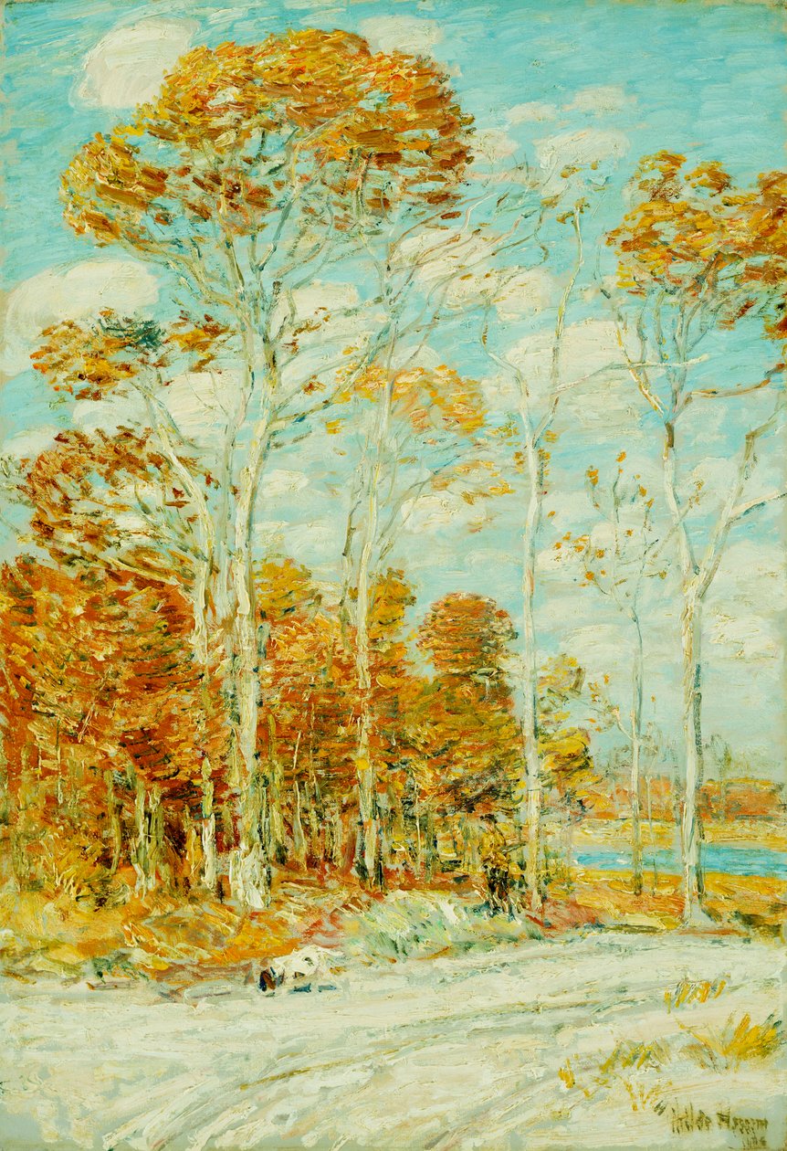 A Sólyomfészek alkotó: Childe Frederick Hassam