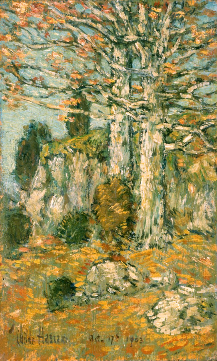 Fa táj alkotó: Childe Frederick Hassam