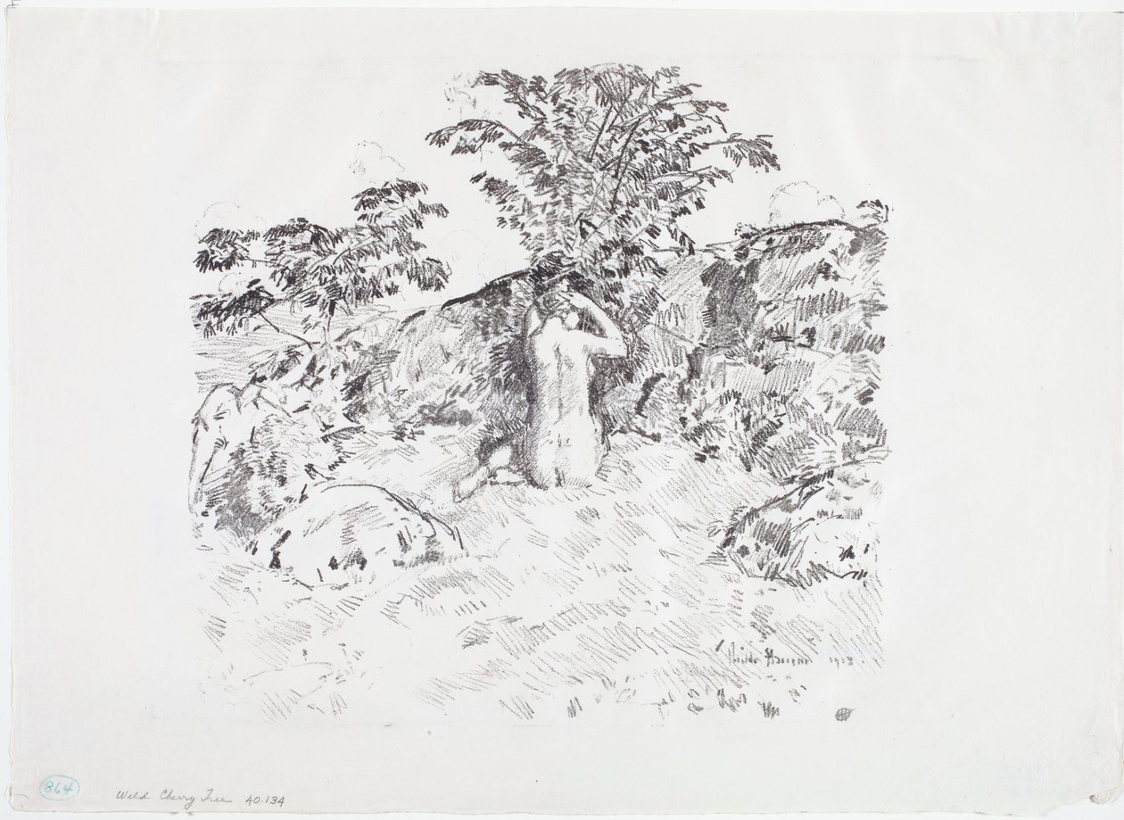Vadcseresznyefa alkotó: Childe Frederick Hassam