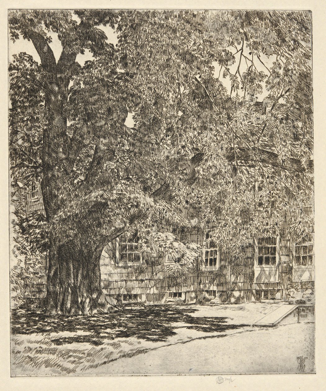 Óriás szil, 1929 alkotó: Childe Hassam
