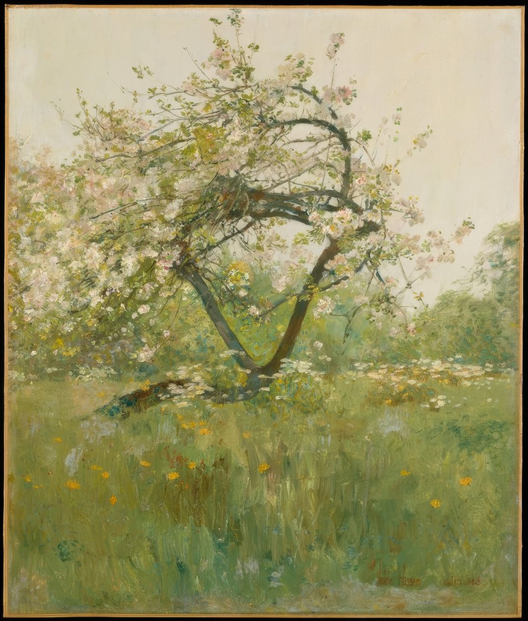 Barackvirágok – Villiers-le-Bel alkotó: Childe Hassam