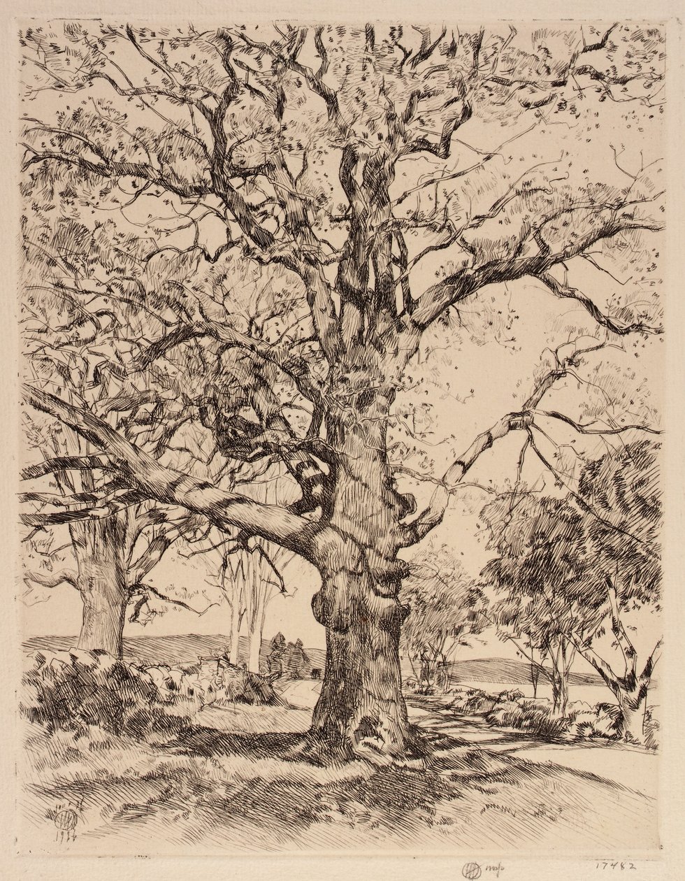 Wayside Inn Oaks tavasszal alkotó: Childe Hassam