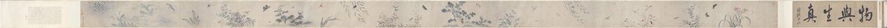 Rovarok és virágok alkotó: China, Qing dynasty