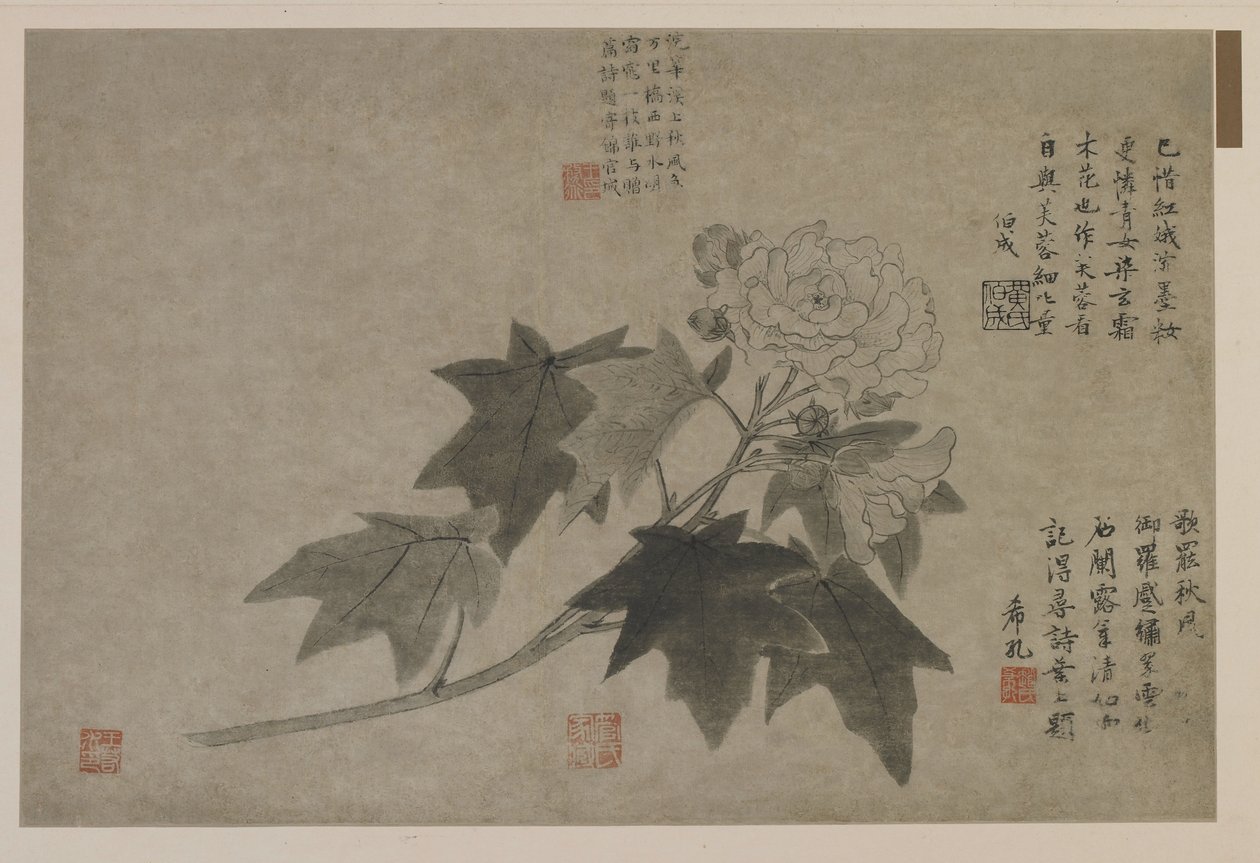 Erdei bazsarózsa ága, valószínűleg a Qing-dinasztia (tinta a papíron) alkotó: Chinese School