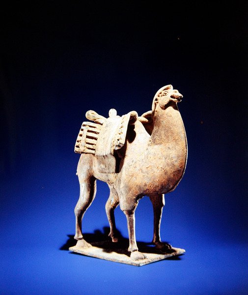 Teve, 6. század közepe-vége, Northern Wei (386-534)-Northern Qi (550-77) dinasztia (cserép) (lásd még: 394829) alkotó: Chinese School