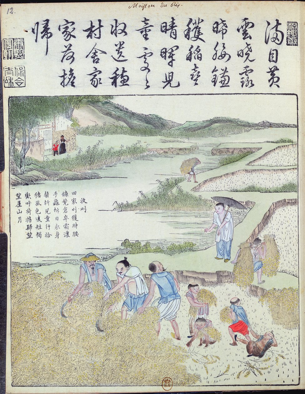 Szüret, A rizskultúra Kínában (színes fatömbnyomat) alkotó: Chinese School