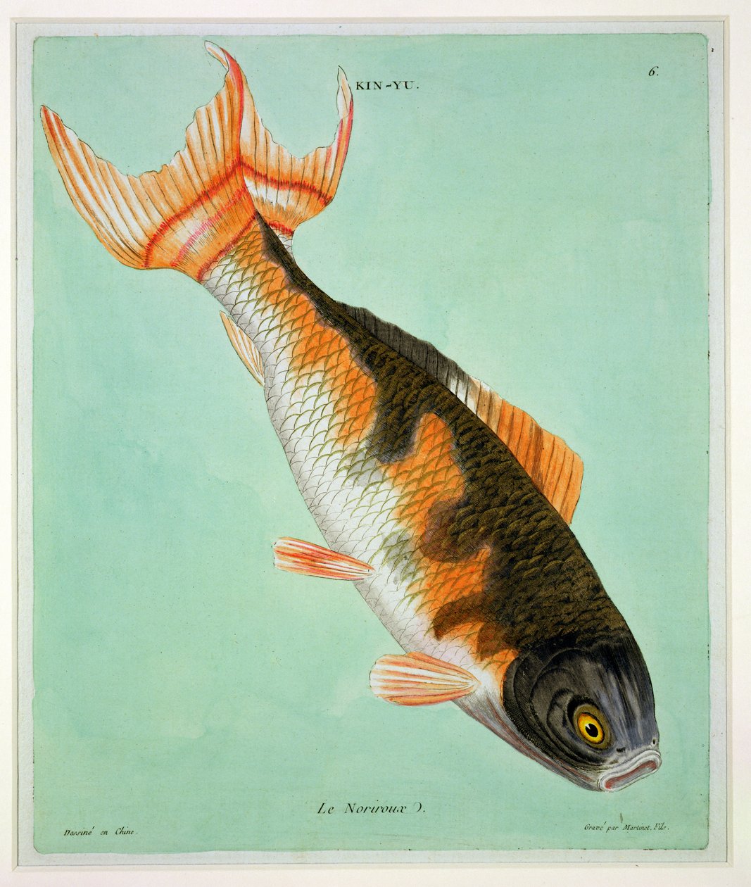 Le Noriroux, metszett: Francois Nicholas Martinet (1731-1796) (nyomat) alkotó: Chinese School