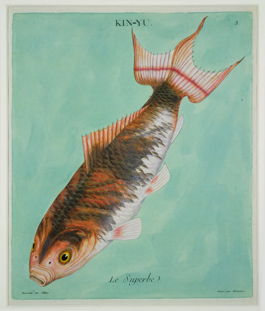 Le Superbe, metszett: Francois Nicholas Martinet (1731-1796) (nyomtatott) alkotó: Chinese School