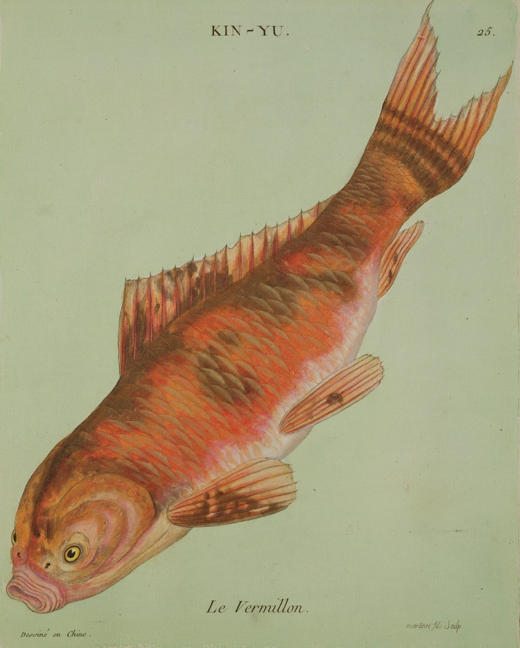 Le Vermilion, metszett: Francois Nicholas Martinet (1731-1796) (nyomtatott) alkotó: Chinese School