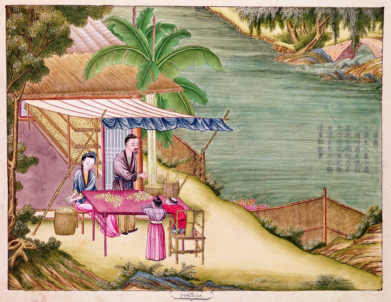 Ms 202 f.6 A gubók válogatása, a selyemiparról szóló könyvből (wc papíron) alkotó: Chinese School
