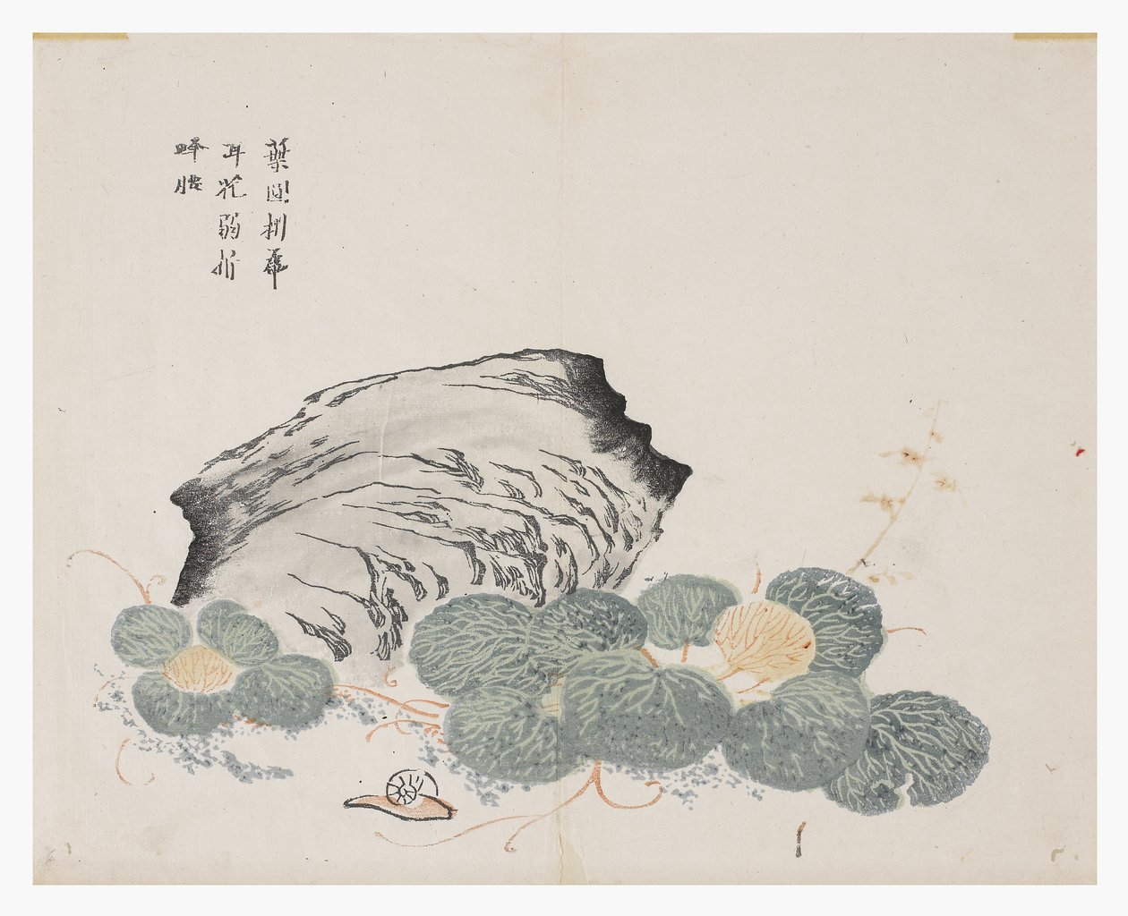 Mustármagos kert alkotó: Chinese School