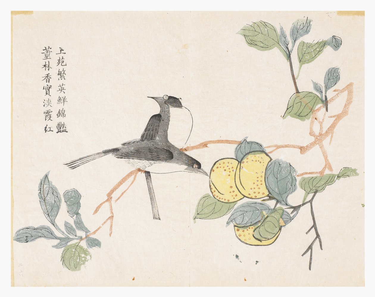 Mustármagos kert alkotó: Chinese School