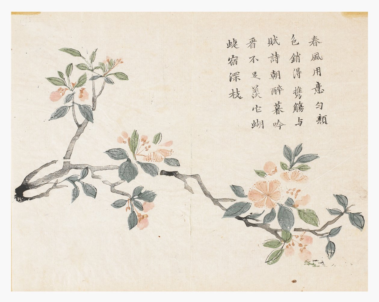 Mustármagos kert alkotó: Chinese School