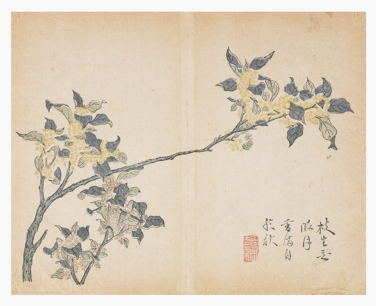 Mustármagos kert alkotó: Chinese School