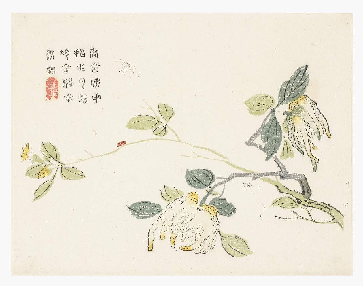 Mustármagos kert alkotó: Chinese School