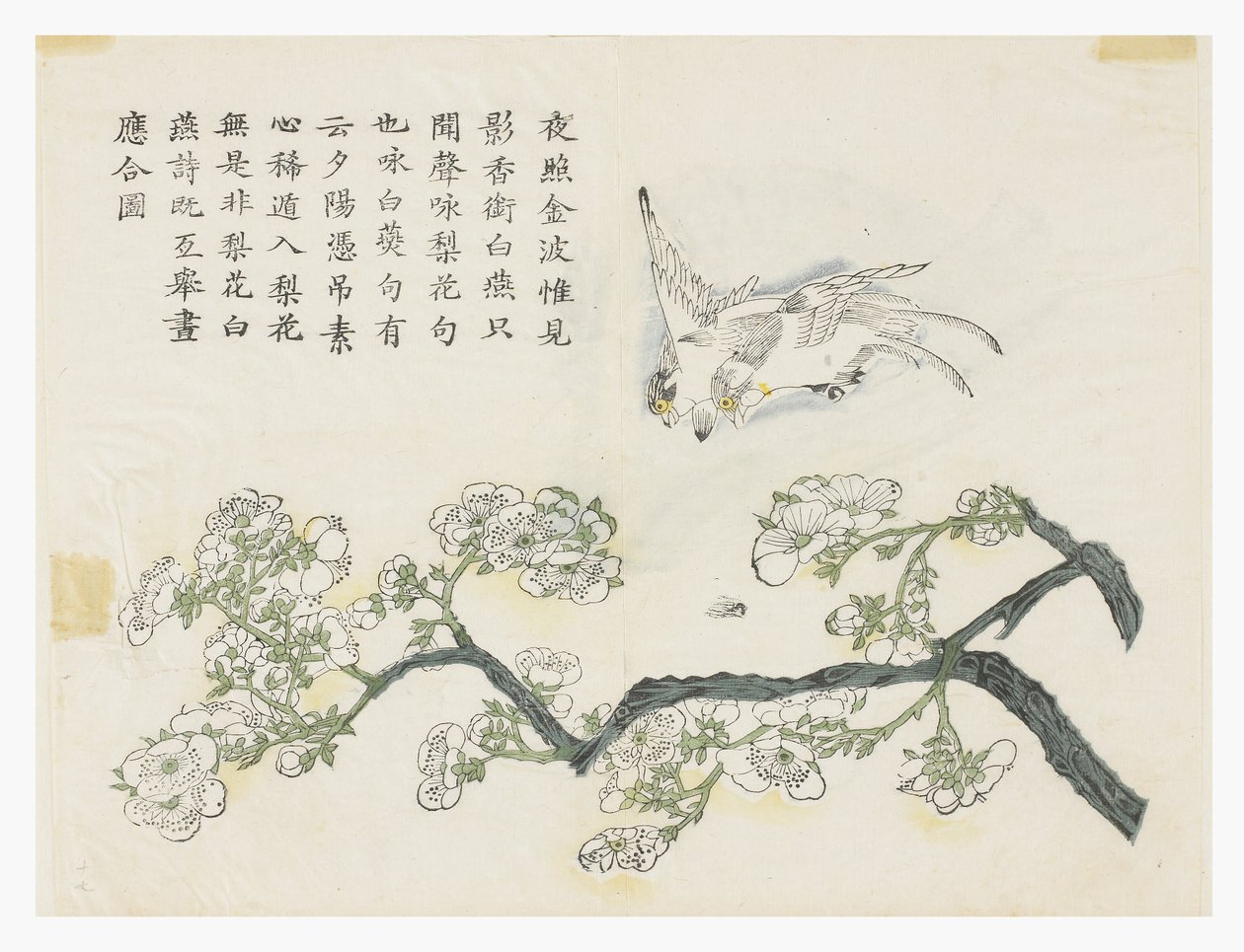 Mustármagos kert alkotó: Chinese School