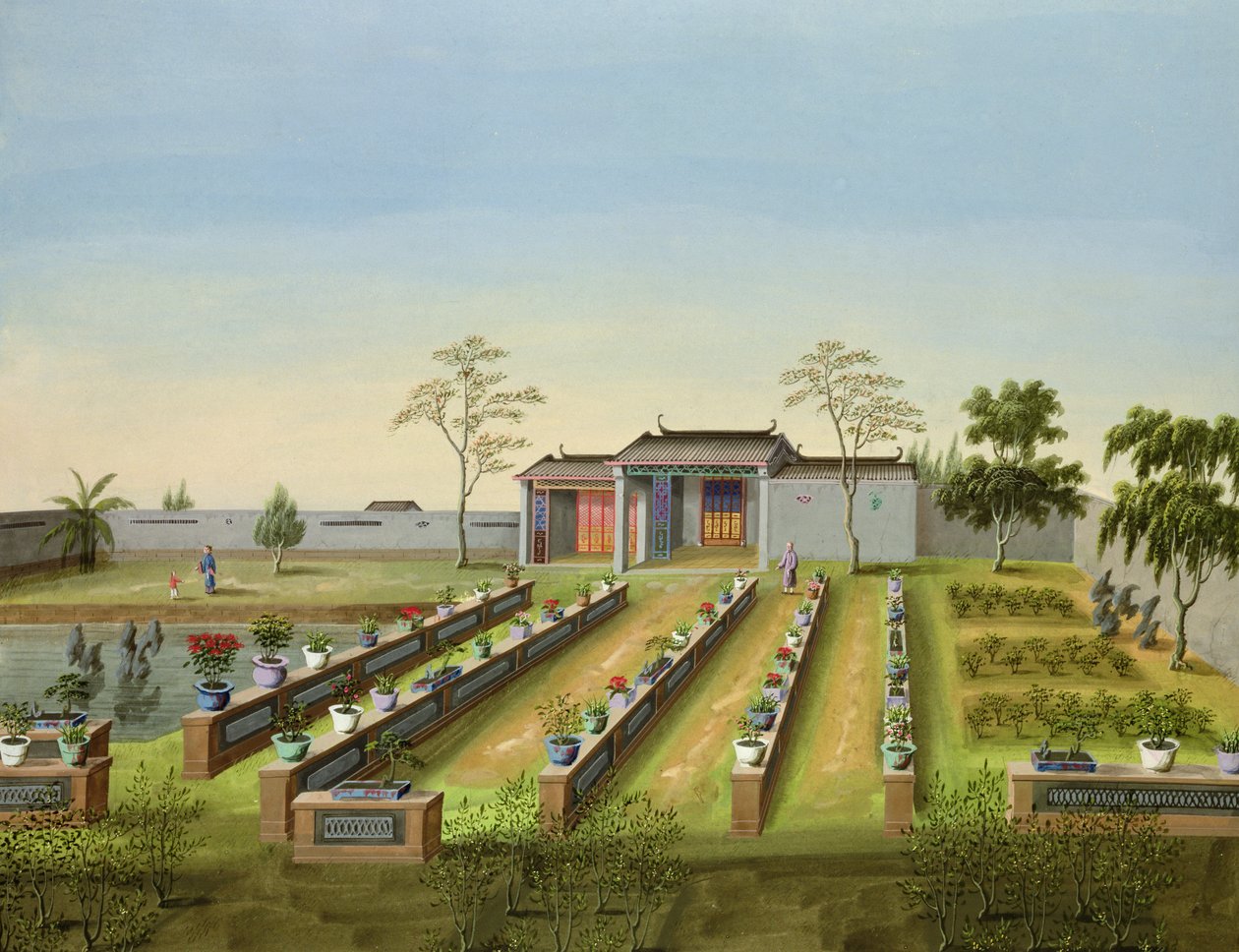 Bölcsőde kert, 1820-40 körül (wc papíron) alkotó: Chinese School