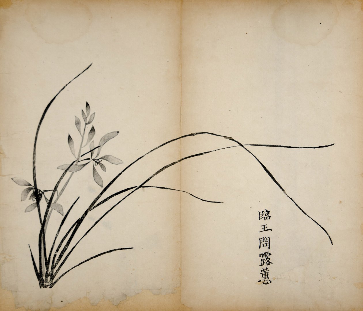 Ten Bamboo Studio Prints, 1643 (fablokk) alkotó: Chinese School