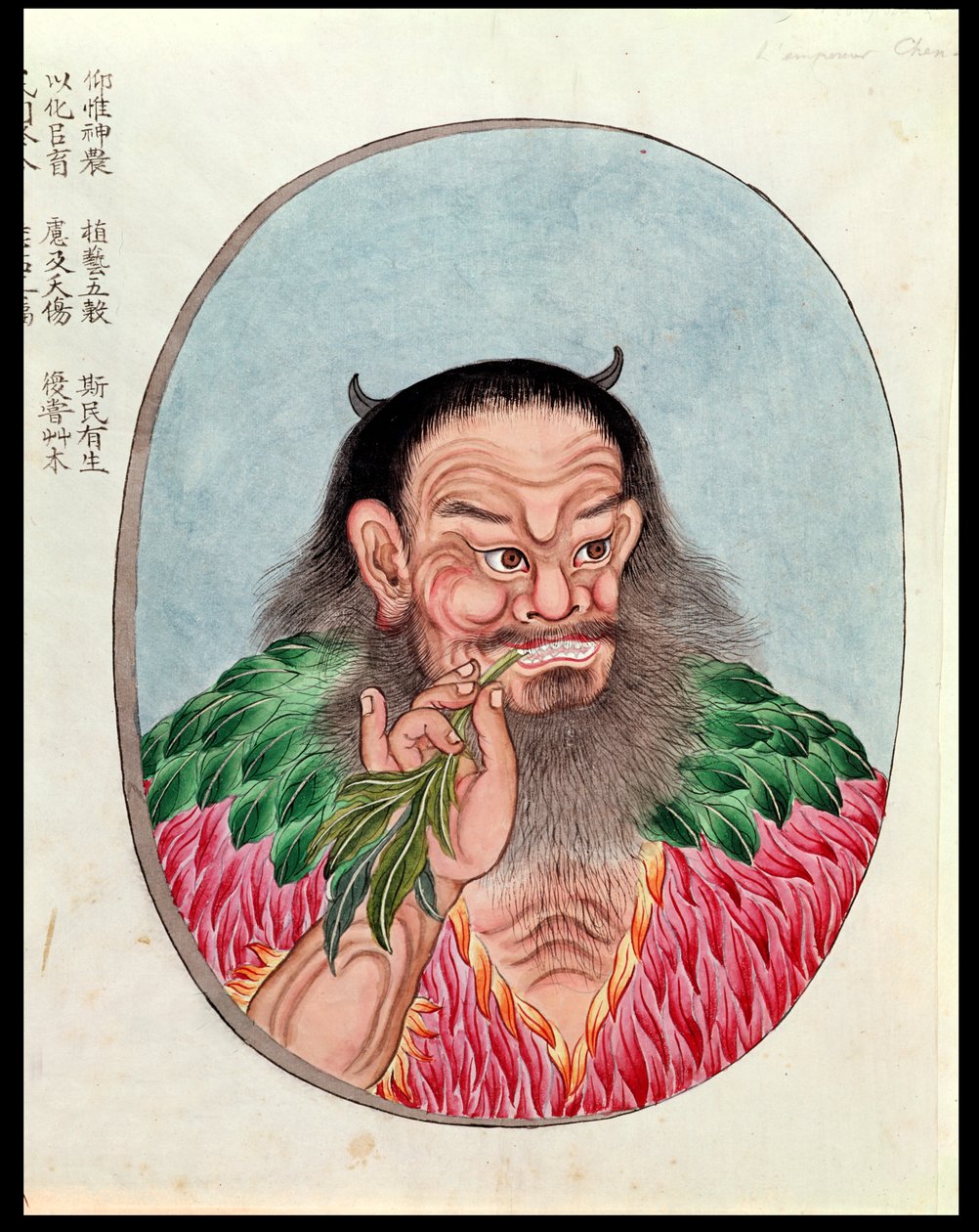 A legendás Shen-Nung császár, illusztráció egy Pen Tsao-ból, XVIII-XIX. alkotó: Chinese School