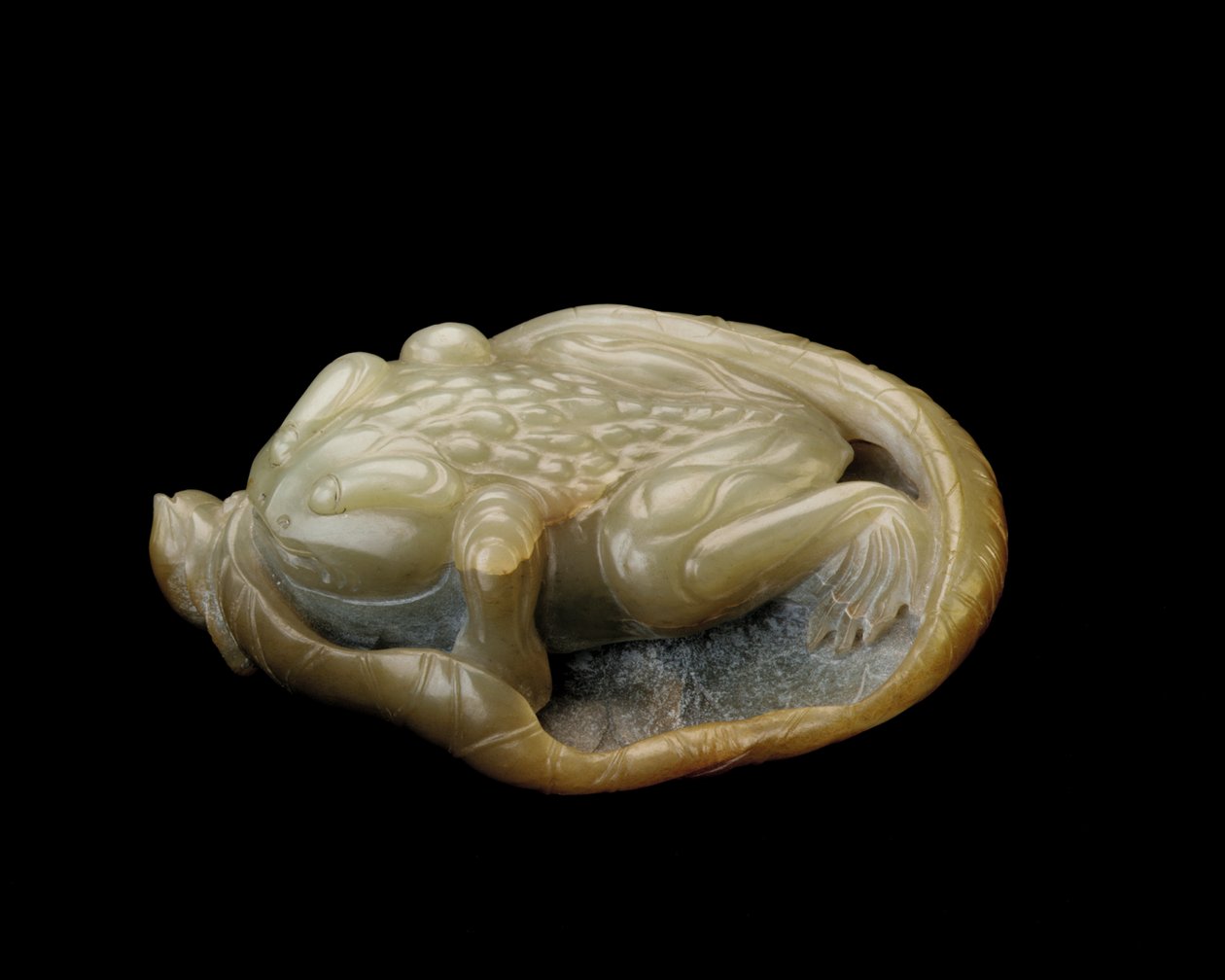 Varangy lótuszlevélen, 1500-1700 alkotó: Chinese School