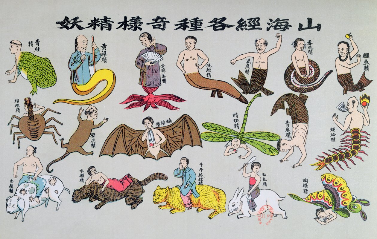 A lélek különféle reinkarnációi állati formában, Henri Dore atya által a Recherche sur les superstitions en Chine-ben reprodukálva és 1911-ben. alkotó: Chinese School