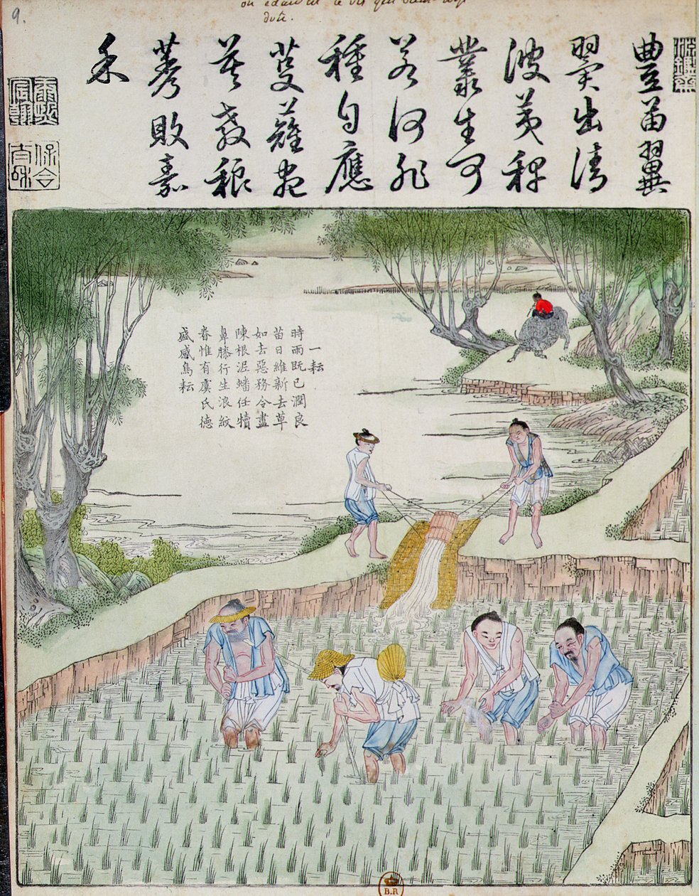 Gyomlálás, A rizskultúra Kínában (színes fatömbnyomat) alkotó: Chinese School