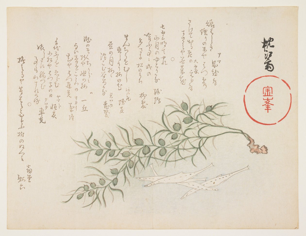 Kis fehér hal és vízimoszat, 1854-59 körül (színes fametszet) alkotó: Chinksai