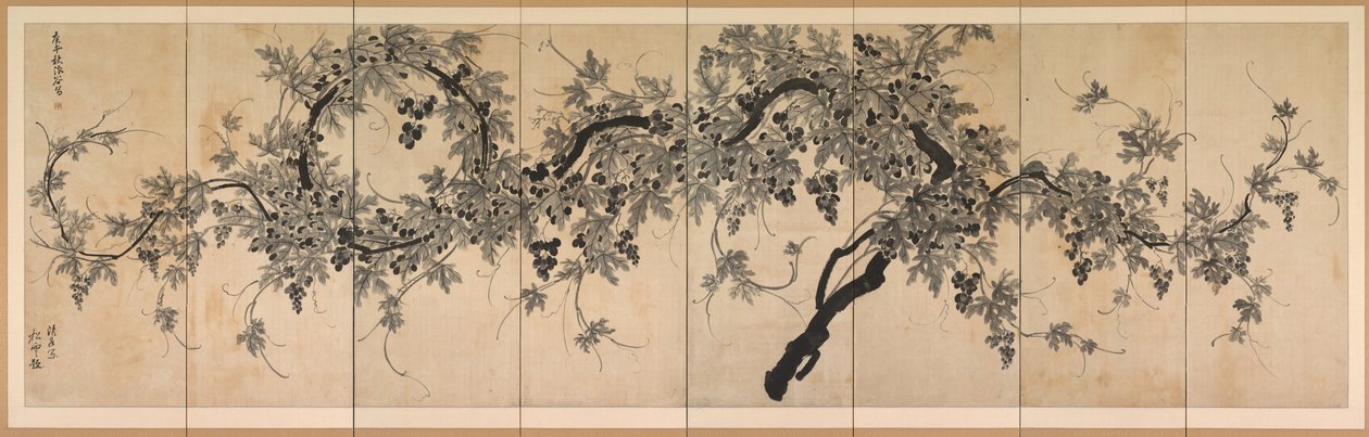 Szőlőtő alkotó: Choe Seok hwan