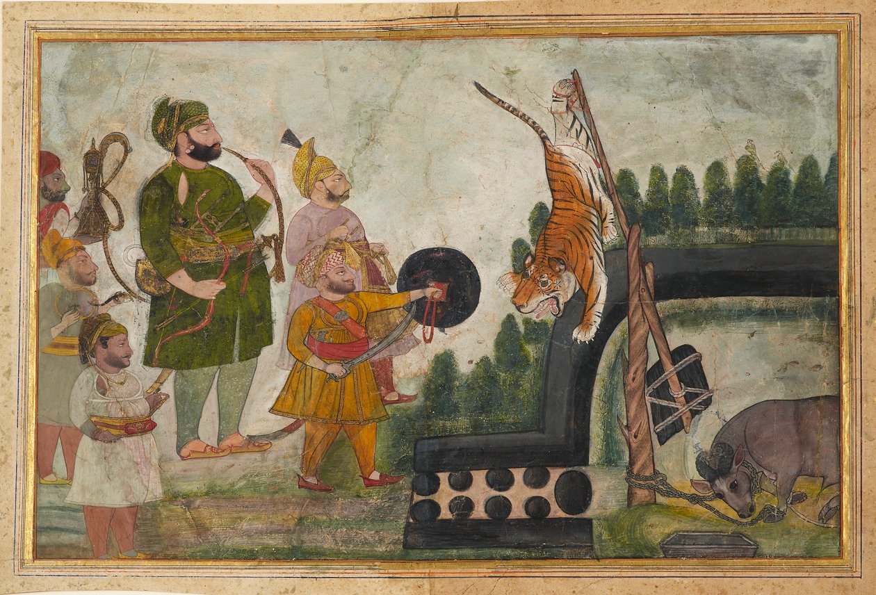 Rawat Gokul Das megvizsgál egy csapdába esett tigrist, 1810-1815 alkotó: Chokha