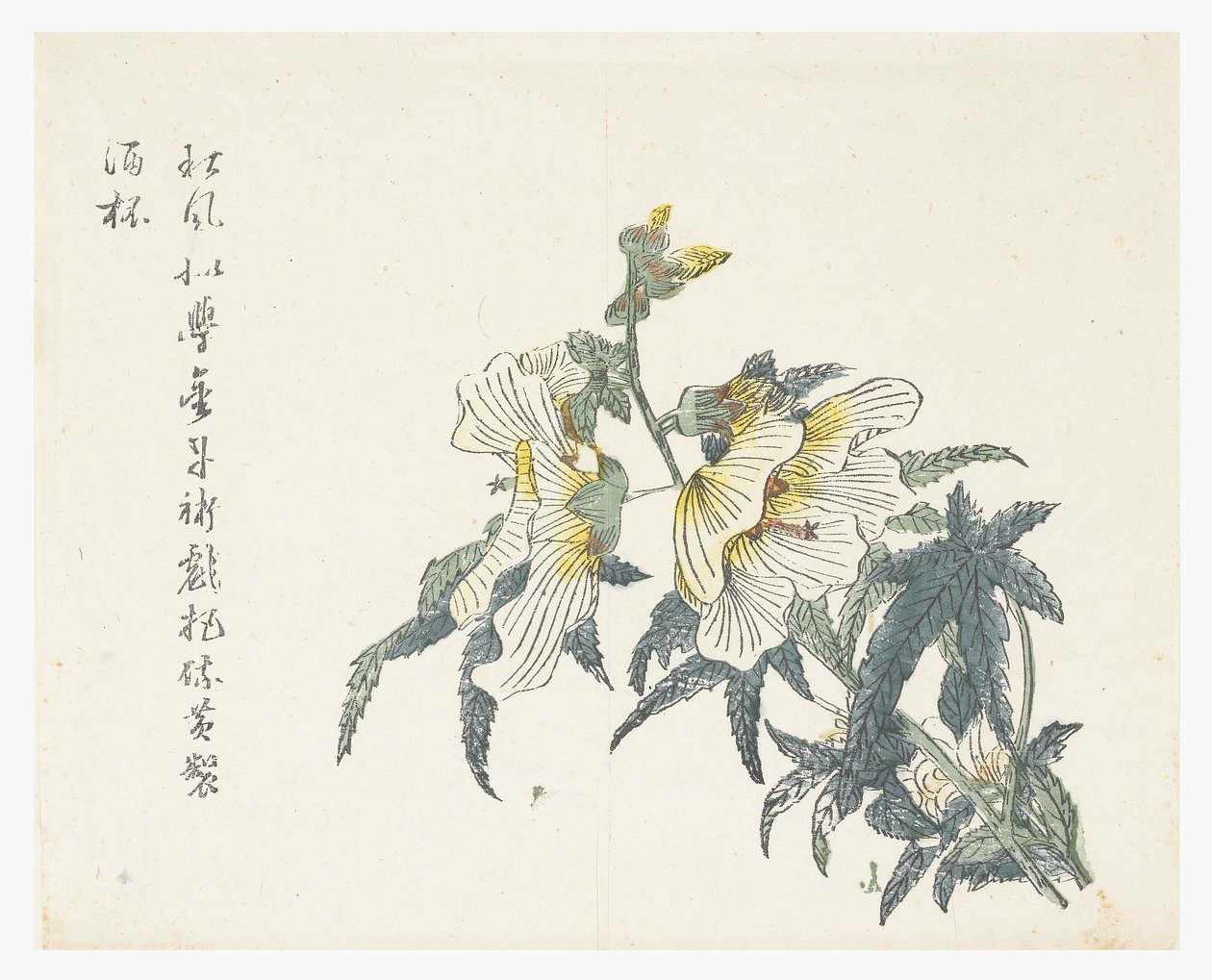 Mustármagos kert alkotó: Chou Huang (after)