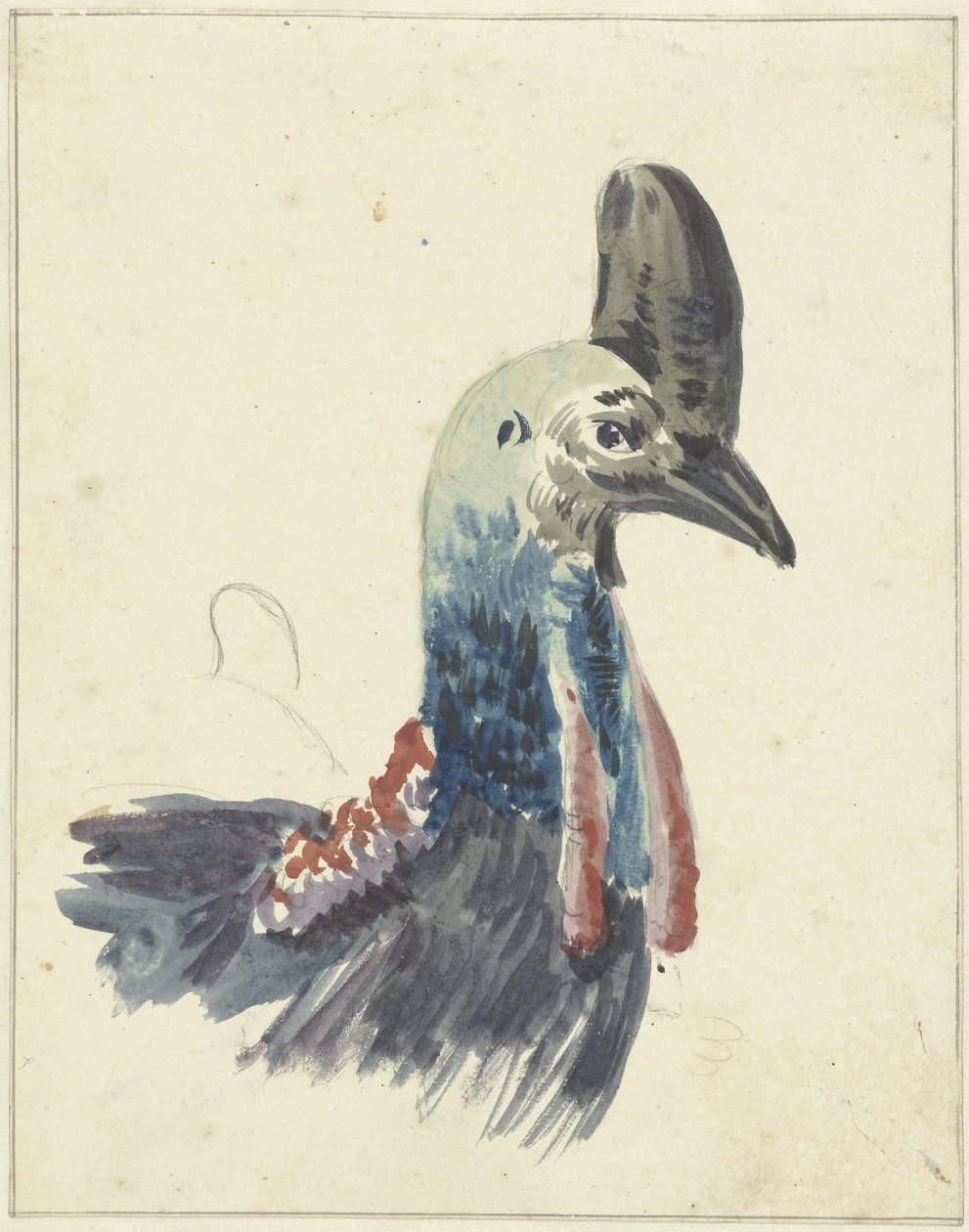 A Cassowary vezetője, akvarell alkotó: Christiaan van Geelen
