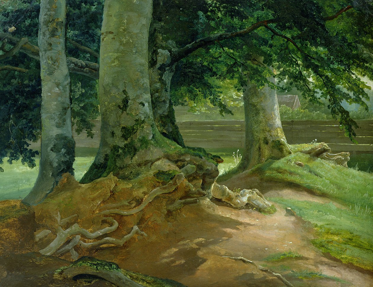 Bükkfák Frederiksdalban Koppenhága közelében, 1828 (olaj, papír, kártyára montírozva) alkotó: Christian Ernst Bernhard Morgenstern