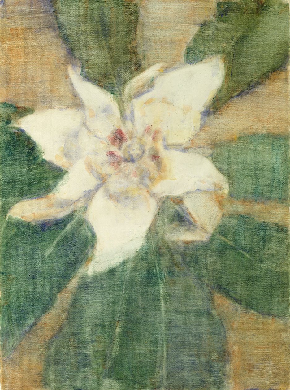 Magnolia Grandiflora (tempera, vászon) alkotó: Christian Rohlfs