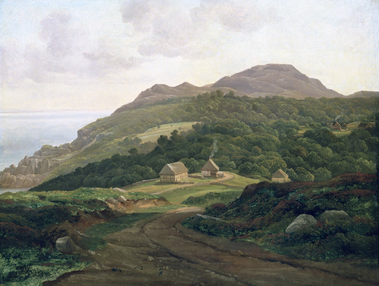 A svéd parton, 1828 (olaj, papír a fedélzeten) alkotó: Christian Ernst Bernhard Morgenstern
