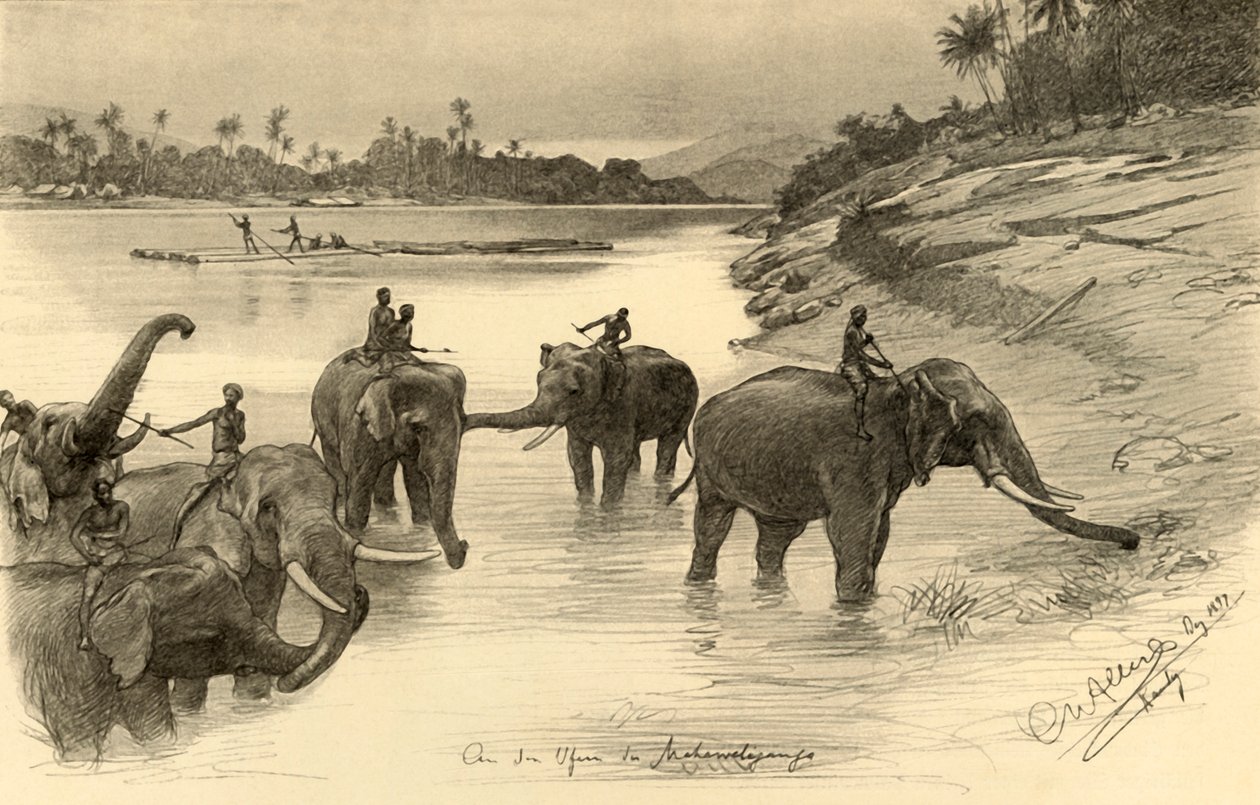Elefántok a Mahaweli folyó partján, Ceylon, 1898. alkotó: Christian Wilhelm Allers